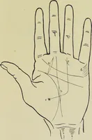 Picture 30 of 32 from A manual of cheirosophy : being a complete practical handbook of the twin sciences of cheirognomy and cheiromancy, by means whereof the past, the present, and the future may be read in the formations of the hands ; preceded by an introductory argument upon the science of cheirosophy and its claims to rank as a physical science / by Ed. Heron-Allen ; with full-page and other illustrations by Rosamund Brunel Horsley. (1885), leaf 307