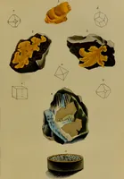 An illustration from Medical zoology, and mineralogy : or, illustrations and descriptions of the animals and minerals employed in medicine, and of the preparations derived from them: including also an account of animal and mineral poisons: with figures coloured from nature / by John Stephenson. (1838)