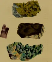 An illustration from Medical zoology, and mineralogy : or, illustrations and descriptions of the animals and minerals employed in medicine, and of the preparations derived from them: including also an account of animal and mineral poisons: with figures coloured from nature / by John Stephenson. (1838)