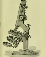 An illustration from The microscope : its history, construction, and application, being a familiar introduction to the use of the instrument, and the study of microscopical science / by Jabez Hogg ; with upwards of five hundred engravings, and coloured illustrations by Tuffen West. (1890)
