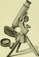 An illustration from The microscope : its history, construction, and application, being a familiar introduction to the use of the instrument, and the study of microscopical science / by Jabez Hogg ; with upwards of five hundred engravings, and coloured illustrations by Tuffen West. (1890)