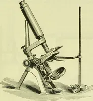 An illustration from The microscope : its history, construction, and application, being a familiar introduction to the use of the instrument, and the study of microscopical science / by Jabez Hogg ; with upwards of five hundred engravings, and coloured illustrations by Tuffen West. (1890)