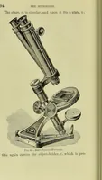 An illustration from The microscope : its history, construction, and application, being a familiar introduction to the use of the instrument, and the study of microscopical science / by Jabez Hogg ; with upwards of five hundred engravings, and coloured illustrations by Tuffen West. (1890)