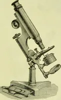 An illustration from The microscope : its history, construction, and application, being a familiar introduction to the use of the instrument, and the study of microscopical science / by Jabez Hogg ; with upwards of five hundred engravings, and coloured illustrations by Tuffen West. (1890)
