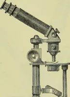 An illustration from The microscope : its history, construction, and application, being a familiar introduction to the use of the instrument, and the study of microscopical science / by Jabez Hogg ; with upwards of five hundred engravings, and coloured illustrations by Tuffen West. (1890)
