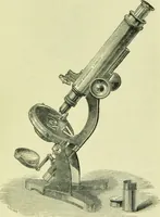 An illustration from The microscope : its history, construction, and application, being a familiar introduction to the use of the instrument, and the study of microscopical science / by Jabez Hogg ; with upwards of five hundred engravings, and coloured illustrations by Tuffen West. (1890)