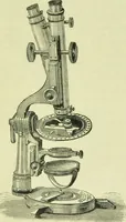 An illustration from The microscope : its history, construction, and application, being a familiar introduction to the use of the instrument, and the study of microscopical science / by Jabez Hogg ; with upwards of five hundred engravings, and coloured illustrations by Tuffen West. (1890)