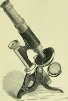 An illustration from The microscope : its history, construction, and application, being a familiar introduction to the use of the instrument, and the study of microscopical science / by Jabez Hogg ; with upwards of five hundred engravings, and coloured illustrations by Tuffen West. (1890)