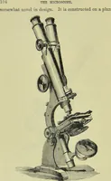 An illustration from The microscope : its history, construction, and application, being a familiar introduction to the use of the instrument, and the study of microscopical science / by Jabez Hogg ; with upwards of five hundred engravings, and coloured illustrations by Tuffen West. (1890)