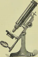 An illustration from The microscope : its history, construction, and application, being a familiar introduction to the use of the instrument, and the study of microscopical science / by Jabez Hogg ; with upwards of five hundred engravings, and coloured illustrations by Tuffen West. (1890)