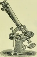 An illustration from The microscope : its history, construction, and application, being a familiar introduction to the use of the instrument, and the study of microscopical science / by Jabez Hogg ; with upwards of five hundred engravings, and coloured illustrations by Tuffen West. (1890)
