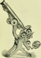 An illustration from The microscope : its history, construction, and application, being a familiar introduction to the use of the instrument, and the study of microscopical science / by Jabez Hogg ; with upwards of five hundred engravings, and coloured illustrations by Tuffen West. (1890)