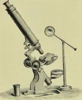 An illustration from The microscope : its history, construction, and application, being a familiar introduction to the use of the instrument, and the study of microscopical science / by Jabez Hogg ; with upwards of five hundred engravings, and coloured illustrations by Tuffen West. (1890)