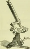 An illustration from The microscope : its history, construction, and application, being a familiar introduction to the use of the instrument, and the study of microscopical science / by Jabez Hogg ; with upwards of five hundred engravings, and coloured illustrations by Tuffen West. (1890)