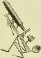 An illustration from The microscope : its history, construction, and application, being a familiar introduction to the use of the instrument, and the study of microscopical science / by Jabez Hogg ; with upwards of five hundred engravings, and coloured illustrations by Tuffen West. (1890)