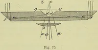 An illustration from The microscope : its history, construction, and application, being a familiar introduction to the use of the instrument, and the study of microscopical science / by Jabez Hogg ; with upwards of five hundred engravings, and coloured illustrations by Tuffen West. (1890)