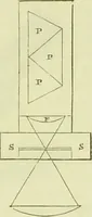 An illustration from The microscope : its history, construction, and application, being a familiar introduction to the use of the instrument, and the study of microscopical science / by Jabez Hogg ; with upwards of five hundred engravings, and coloured illustrations by Tuffen West. (1890)