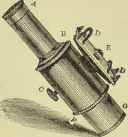 An illustration from The microscope : its history, construction, and application, being a familiar introduction to the use of the instrument, and the study of microscopical science / by Jabez Hogg ; with upwards of five hundred engravings, and coloured illustrations by Tuffen West. (1890)