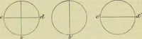 An illustration from The microscope : its history, construction, and application, being a familiar introduction to the use of the instrument, and the study of microscopical science / by Jabez Hogg ; with upwards of five hundred engravings, and coloured illustrations by Tuffen West. (1890)