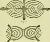 An illustration from The microscope : its history, construction, and application, being a familiar introduction to the use of the instrument, and the study of microscopical science / by Jabez Hogg ; with upwards of five hundred engravings, and coloured illustrations by Tuffen West. (1890)