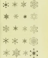 An illustration from The microscope : its history, construction, and application, being a familiar introduction to the use of the instrument, and the study of microscopical science / by Jabez Hogg ; with upwards of five hundred engravings, and coloured illustrations by Tuffen West. (1890)