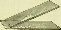 An illustration from The microscope : its history, construction, and application, being a familiar introduction to the use of the instrument, and the study of microscopical science / by Jabez Hogg ; with upwards of five hundred engravings, and coloured illustrations by Tuffen West. (1890)