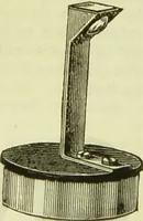 An illustration from The microscope : its history, construction, and application, being a familiar introduction to the use of the instrument, and the study of microscopical science / by Jabez Hogg ; with upwards of five hundred engravings, and coloured illustrations by Tuffen West. (1890)
