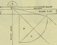 An illustration from The microscope : its history, construction, and application, being a familiar introduction to the use of the instrument, and the study of microscopical science / by Jabez Hogg ; with upwards of five hundred engravings, and coloured illustrations by Tuffen West. (1890)