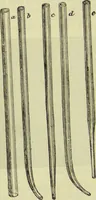 An illustration from The microscope : its history, construction, and application, being a familiar introduction to the use of the instrument, and the study of microscopical science / by Jabez Hogg ; with upwards of five hundred engravings, and coloured illustrations by Tuffen West. (1890)