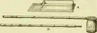 An illustration from The microscope : its history, construction, and application, being a familiar introduction to the use of the instrument, and the study of microscopical science / by Jabez Hogg ; with upwards of five hundred engravings, and coloured illustrations by Tuffen West. (1890)
