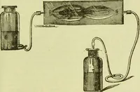 An illustration from The microscope : its history, construction, and application, being a familiar introduction to the use of the instrument, and the study of microscopical science / by Jabez Hogg ; with upwards of five hundred engravings, and coloured illustrations by Tuffen West. (1890)