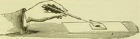 An illustration from The microscope : its history, construction, and application, being a familiar introduction to the use of the instrument, and the study of microscopical science / by Jabez Hogg ; with upwards of five hundred engravings, and coloured illustrations by Tuffen West. (1890)