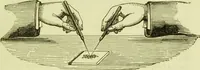 An illustration from The microscope : its history, construction, and application, being a familiar introduction to the use of the instrument, and the study of microscopical science / by Jabez Hogg ; with upwards of five hundred engravings, and coloured illustrations by Tuffen West. (1890)
