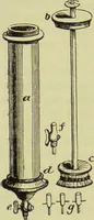 An illustration from The microscope : its history, construction, and application, being a familiar introduction to the use of the instrument, and the study of microscopical science / by Jabez Hogg ; with upwards of five hundred engravings, and coloured illustrations by Tuffen West. (1890)