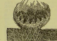 An illustration from The microscope : its history, construction, and application, being a familiar introduction to the use of the instrument, and the study of microscopical science / by Jabez Hogg ; with upwards of five hundred engravings, and coloured illustrations by Tuffen West. (1890)