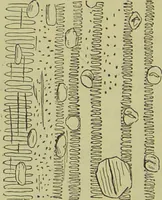 An illustration from The microscope : its history, construction, and application, being a familiar introduction to the use of the instrument, and the study of microscopical science / by Jabez Hogg ; with upwards of five hundred engravings, and coloured illustrations by Tuffen West. (1890)