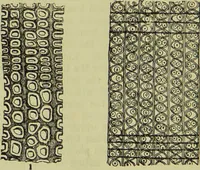 An illustration from The microscope : its history, construction, and application, being a familiar introduction to the use of the instrument, and the study of microscopical science / by Jabez Hogg ; with upwards of five hundred engravings, and coloured illustrations by Tuffen West. (1890)