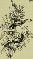 An illustration from The microscope : its history, construction, and application, being a familiar introduction to the use of the instrument, and the study of microscopical science / by Jabez Hogg ; with upwards of five hundred engravings, and coloured illustrations by Tuffen West. (1890)