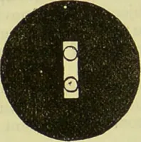 An illustration from The microscope : its history, construction, and application, being a familiar introduction to the use of the instrument, and the study of microscopical science / by Jabez Hogg ; with upwards of five hundred engravings, and coloured illustrations by Tuffen West. (1890)