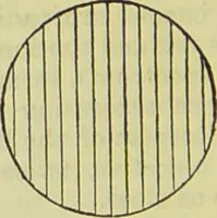 An illustration from The microscope : its history, construction, and application, being a familiar introduction to the use of the instrument, and the study of microscopical science / by Jabez Hogg ; with upwards of five hundred engravings, and coloured illustrations by Tuffen West. (1890)