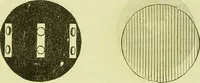An illustration from The microscope : its history, construction, and application, being a familiar introduction to the use of the instrument, and the study of microscopical science / by Jabez Hogg ; with upwards of five hundred engravings, and coloured illustrations by Tuffen West. (1890)