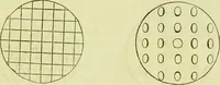 An illustration from The microscope : its history, construction, and application, being a familiar introduction to the use of the instrument, and the study of microscopical science / by Jabez Hogg ; with upwards of five hundred engravings, and coloured illustrations by Tuffen West. (1890)