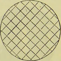 An illustration from The microscope : its history, construction, and application, being a familiar introduction to the use of the instrument, and the study of microscopical science / by Jabez Hogg ; with upwards of five hundred engravings, and coloured illustrations by Tuffen West. (1890)