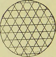An illustration from The microscope : its history, construction, and application, being a familiar introduction to the use of the instrument, and the study of microscopical science / by Jabez Hogg ; with upwards of five hundred engravings, and coloured illustrations by Tuffen West. (1890)