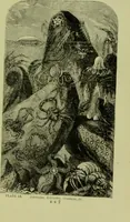 An illustration from The microscope : its history, construction, and application, being a familiar introduction to the use of the instrument, and the study of microscopical science / by Jabez Hogg ; with upwards of five hundred engravings, and coloured illustrations by Tuffen West. (1890)