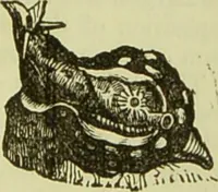 An illustration from The microscope : its history, construction, and application, being a familiar introduction to the use of the instrument, and the study of microscopical science / by Jabez Hogg ; with upwards of five hundred engravings, and coloured illustrations by Tuffen West. (1890)