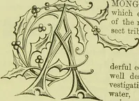 An illustration from The microscope : its history, construction, and application, being a familiar introduction to the use of the instrument, and the study of microscopical science / by Jabez Hogg ; with upwards of five hundred engravings, and coloured illustrations by Tuffen West. (1890)