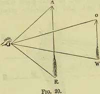 An illustration from The microscope : its history, construction, and application, being a familiar introduction to the use of the instrument, and the study of microscopical science / by Jabez Hogg ; with upwards of five hundred engravings, and coloured illustrations by Tuffen West. (1890)