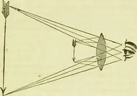 An illustration from The microscope : its history, construction, and application, being a familiar introduction to the use of the instrument, and the study of microscopical science / by Jabez Hogg ; with upwards of five hundred engravings, and coloured illustrations by Tuffen West. (1890)