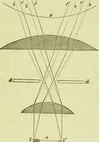 An illustration from The microscope : its history, construction, and application, being a familiar introduction to the use of the instrument, and the study of microscopical science / by Jabez Hogg ; with upwards of five hundred engravings, and coloured illustrations by Tuffen West. (1890)